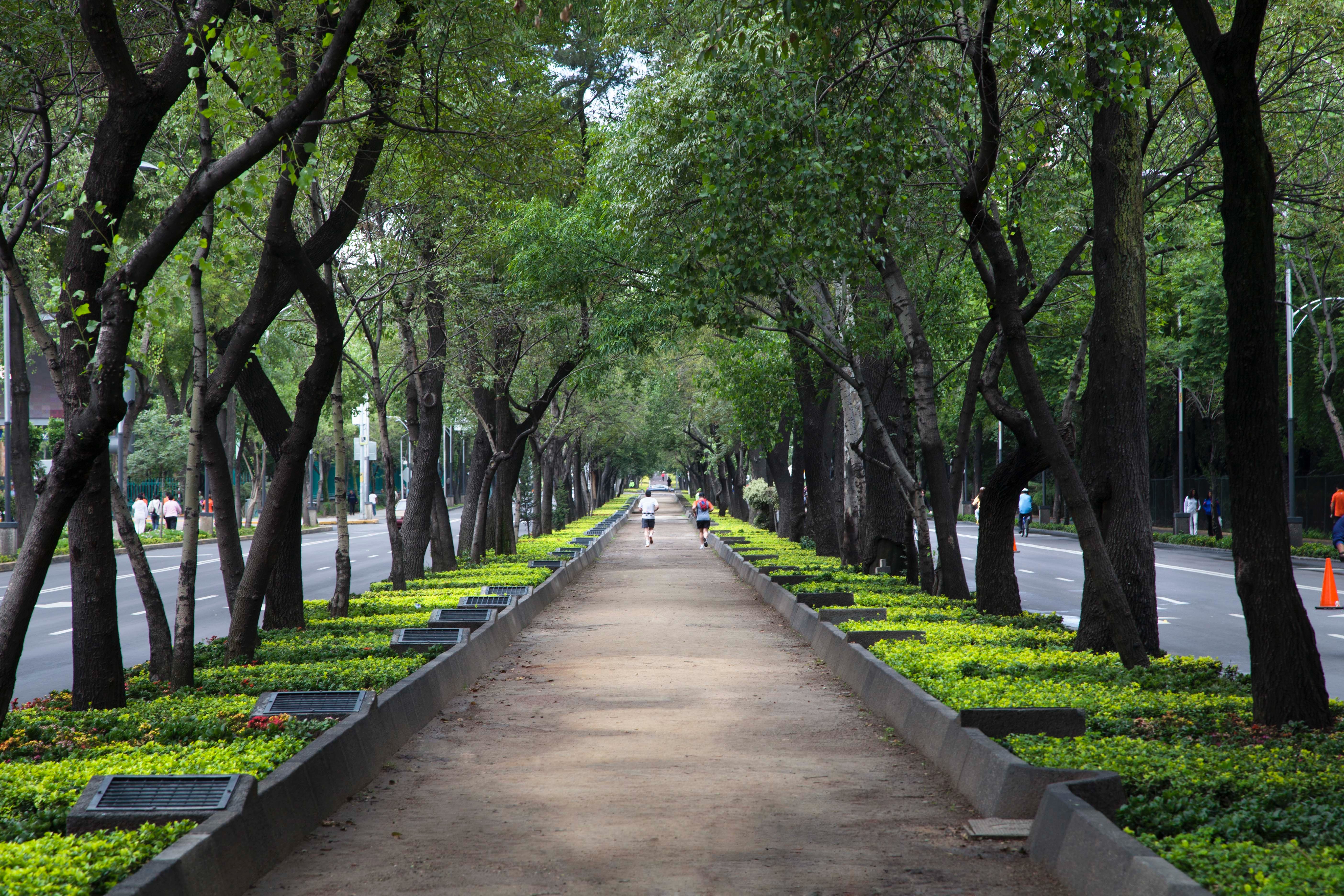 Photo of the hotel Sofitel Mexico City Reforma: Carlos aranda kc p9lbvuju unsplash