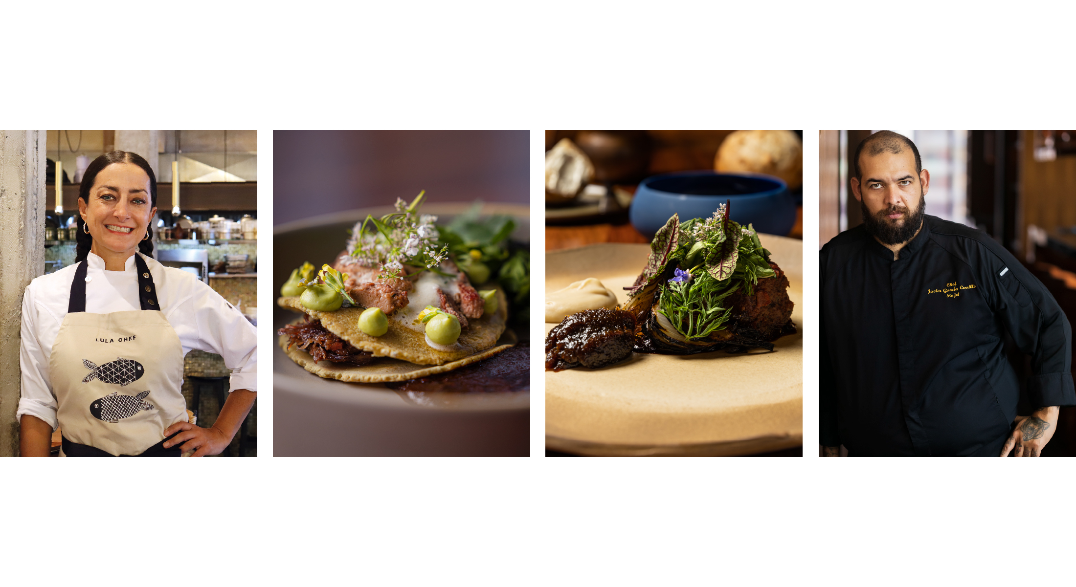 Photo of the hotel Sofitel Mexico City Reforma: Bajel lulamarin web banner